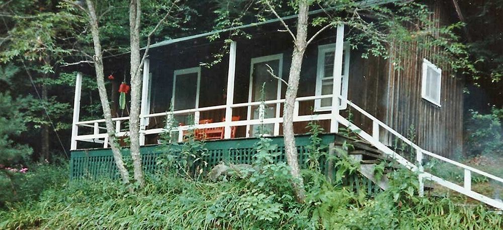 Villa The Cabins At Healing Springs à Crumpler Extérieur photo